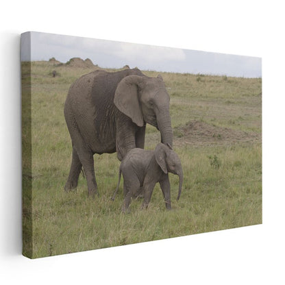 Anne ve Yavru Fil - Doğada Sevgi Bağı Kanvas Tablo