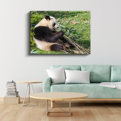 Bambu Keyfi - Dinlenen Panda Kanvas Tablo