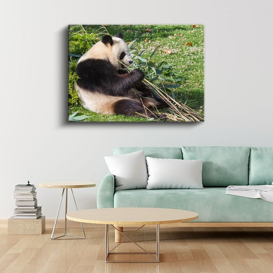 Bambu Keyfi - Dinlenen Panda Kanvas Tablo