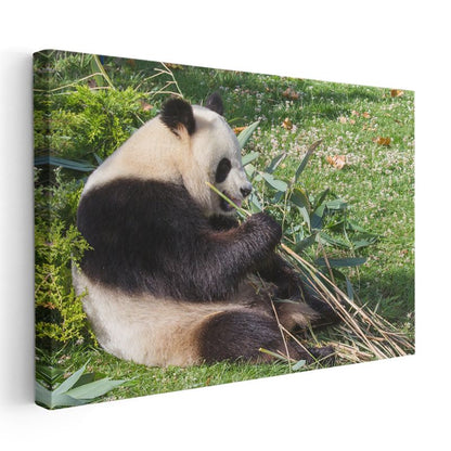 Bambu Keyfi - Dinlenen Panda Kanvas Tablo