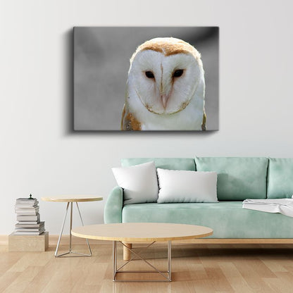 Peçeli Baykuş - Bilgeliğin Sembolü Kanvas Tablo