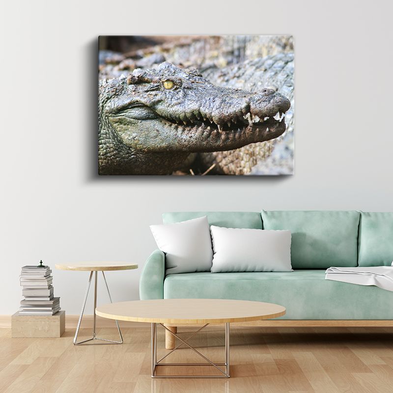 Timsah Portresi - Vahşi Doğanın Hükümdarı Kanvas Tablo