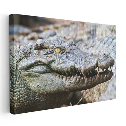 Timsah Portresi - Vahşi Doğanın Hükümdarı Kanvas Tablo