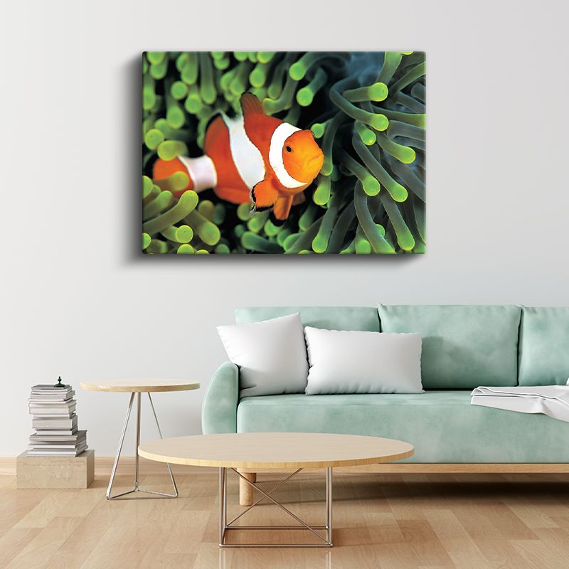 Palyaço Balığı - Mercan Resiflerinin Rengarenk Sakini Kanvas Tablo