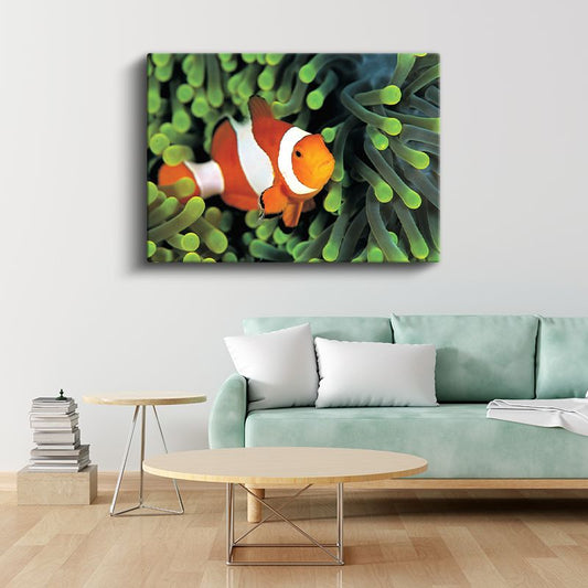 Palyaço Balığı - Mercan Resiflerinin Rengarenk Sakini Kanvas Tablo