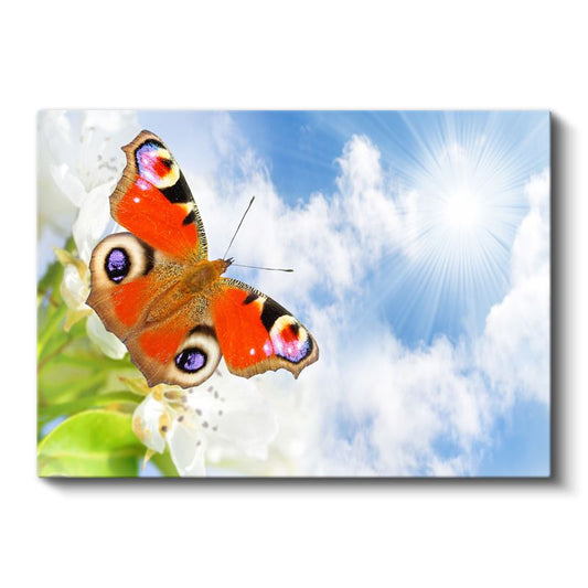 Tavus Kelebeği - Doğanın Renkli Dansçısı Kanvas Tablo