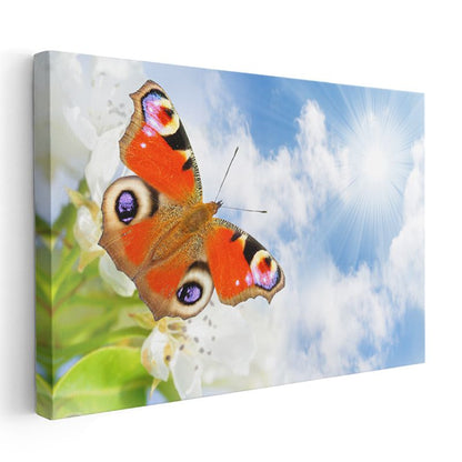 Tavus Kelebeği - Doğanın Renkli Dansçısı Kanvas Tablo