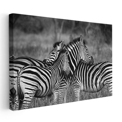 Zebra Sürüsü - Savanada Siyah Beyaz Uyum Kanvas Tablo