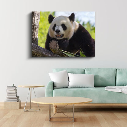 Meraklı Panda - Ağaç Dalında Sevimli Dostumuz Kanvas Tablo