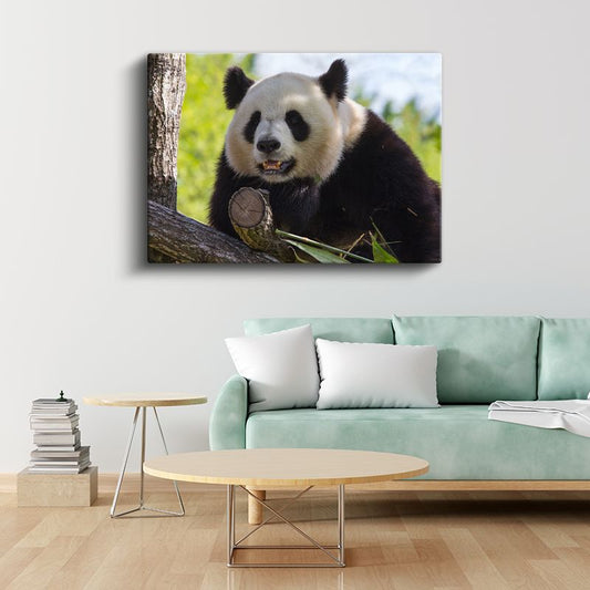 Meraklı Panda - Ağaç Dalında Sevimli Dostumuz Kanvas Tablo