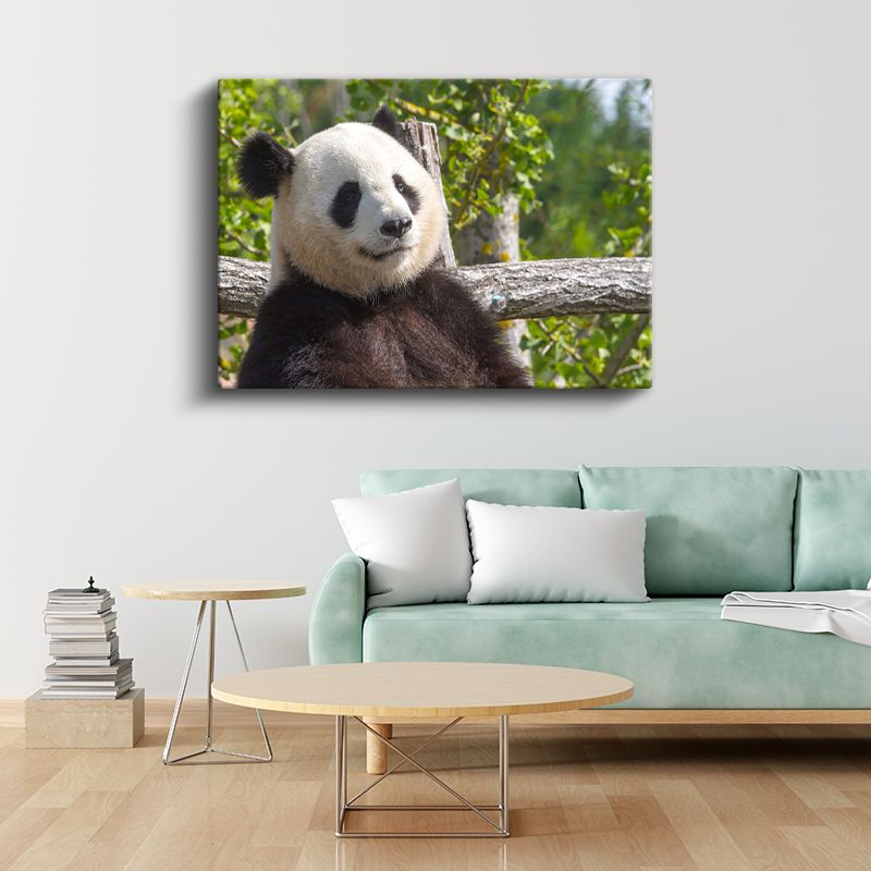 Düşünceli Panda - Ağaç Dalında Huzurlu Anlar Kanvas Tablo