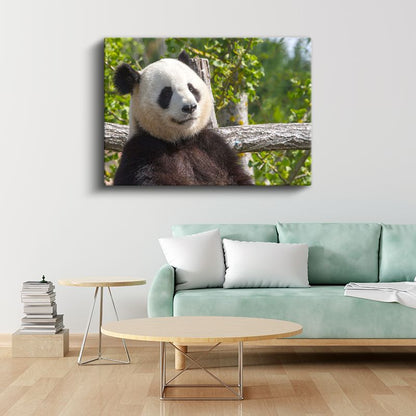 Düşünceli Panda - Ağaç Dalında Huzurlu Anlar Kanvas Tablo