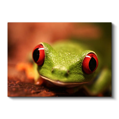 Kırmızı Gözlü Kurbağa - Tropikal Ormanların Büyüleyici Avcısı Kanvas Tablo