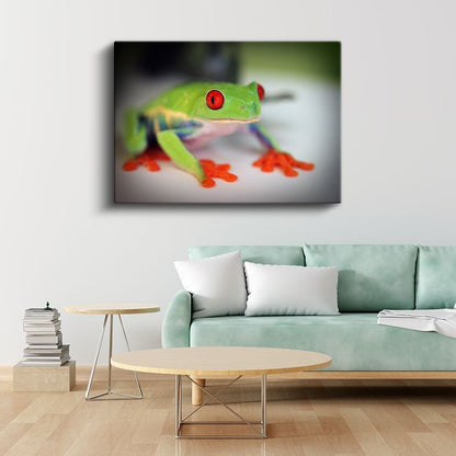 Ağaç Kurbağası - Renkli Ayaklarıyla Dikkat Çeken Amfibi Kanvas Tablo
