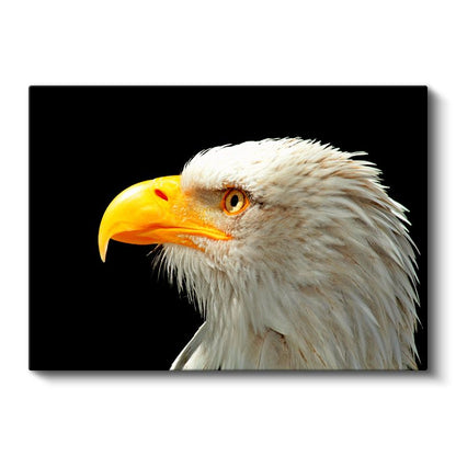 Kartal Portresi - Karanlıkta Parlayan Keskin Bakışlar Kanvas Tablo
