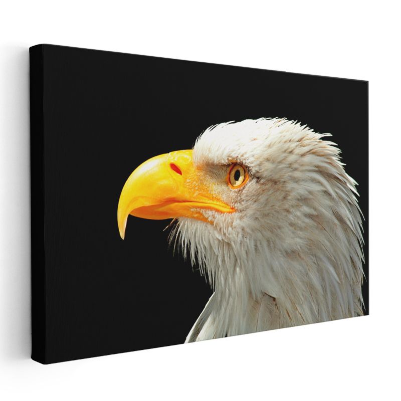 Kartal Portresi - Karanlıkta Parlayan Keskin Bakışlar Kanvas Tablo