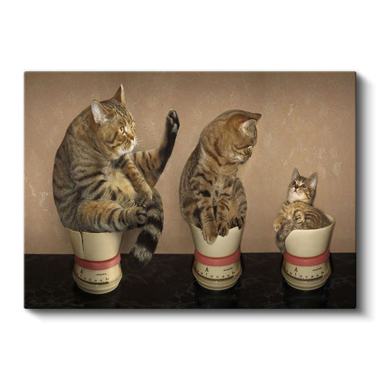 Kedi Ailesi - Ölçü Kaplarında Sevimli Dostlarımız Kanvas Tablo