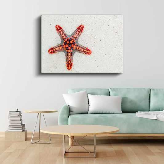 Kırmızı Denizyıldızı - Okyanusun Beş Kollu Yıldızı Kanvas Tablo