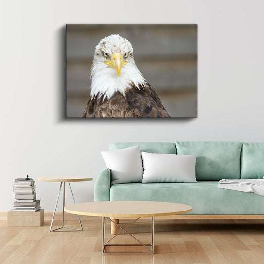 Kel Kartal - Gururlu Duruşuyla Özgürlük Simgesi Kanvas Tablo