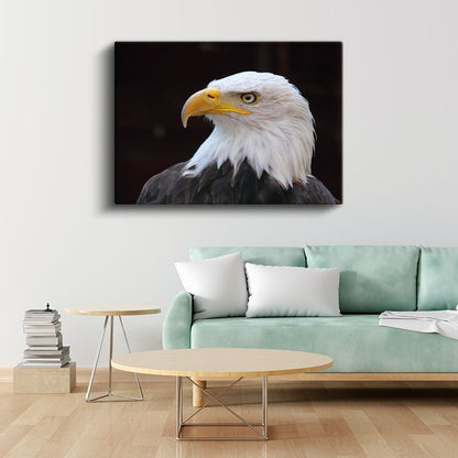 Asil Kartal - Keskin Bakışlı Avcı Kuş Kanvas Tablo
