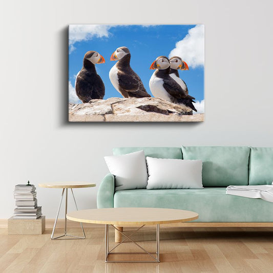 Atlantik Papağanları - Kayalıklarda Toplanan Renkli Deniz Kuşları Kanvas Tablo