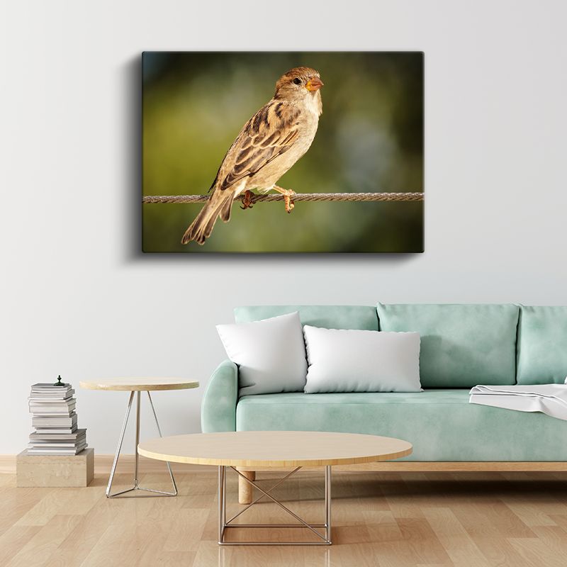 Serçe Kuşu - Tel Üzerinde Zarif Duruş Kanvas Tablo