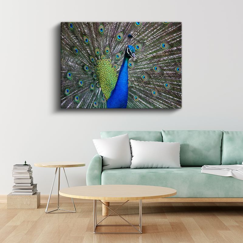 Tavus Kuşu - Göz Alıcı Tüyleriyle Doğanın Şöleni Kanvas Tablo