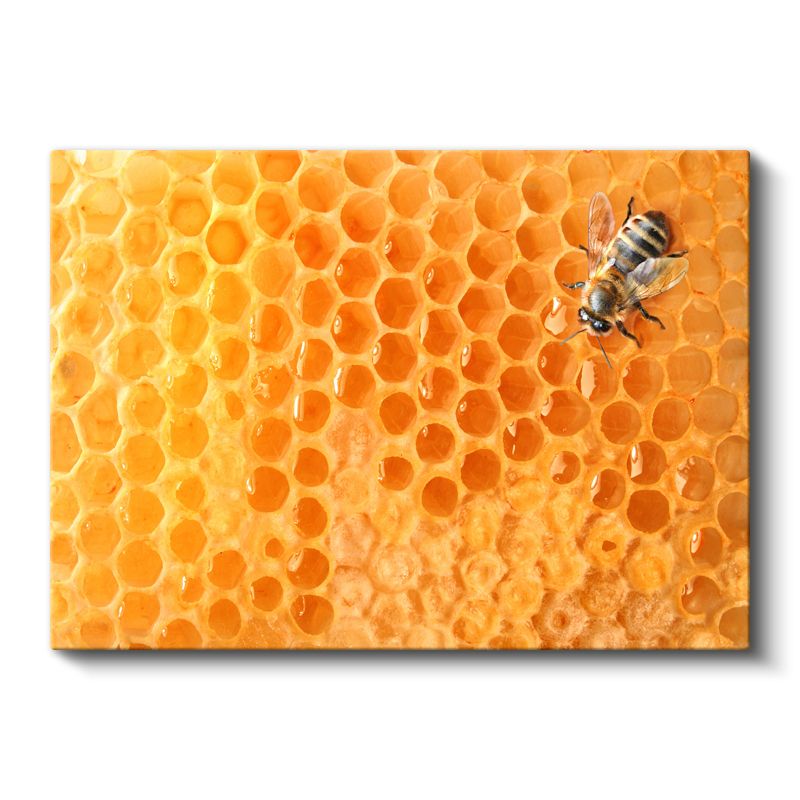 Bal Arısı - Altın Sarısı Petekte Çalışkan İşçi Kanvas Tablo