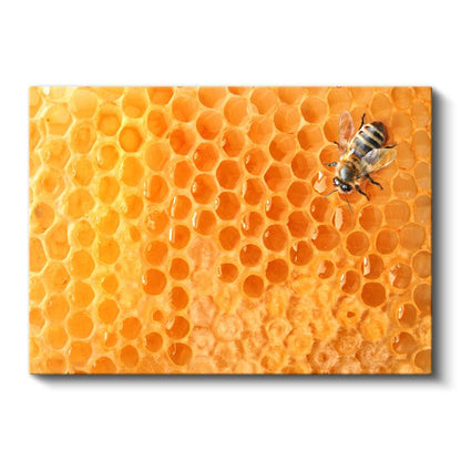 Bal Arısı - Altın Sarısı Petekte Çalışkan İşçi Kanvas Tablo