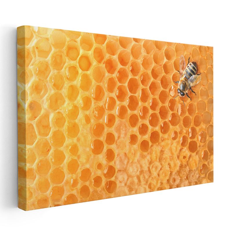 Bal Arısı - Altın Sarısı Petekte Çalışkan İşçi Kanvas Tablo