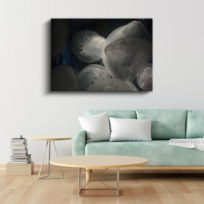 Denizanaları - Derin Sularda Işıldayan Şeffaf Güzellikler Kanvas Tablo