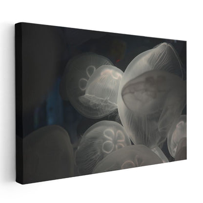 Denizanaları - Derin Sularda Işıldayan Şeffaf Güzellikler Kanvas Tablo