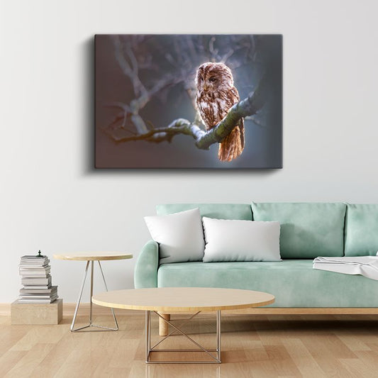 Orman Baykuşu - Ağaç Dalında Bilge Bakışlar Kanvas Tablo