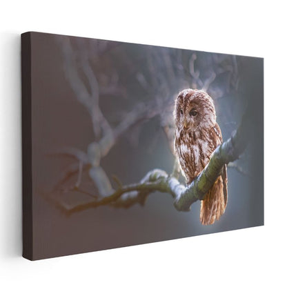 Orman Baykuşu - Ağaç Dalında Bilge Bakışlar Kanvas Tablo