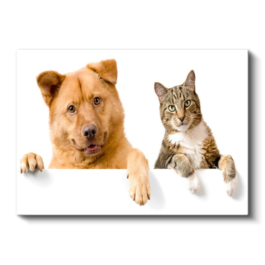 Dostluk Köprüsü - Kedi ve Köpek İkilisi Kanvas Tablo
