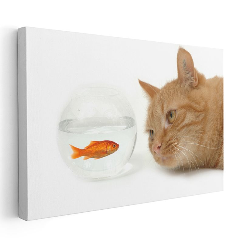 Meraklı Kedi - Akvaryum Balığını İzleyen Turuncu Dost Kanvas Tablo