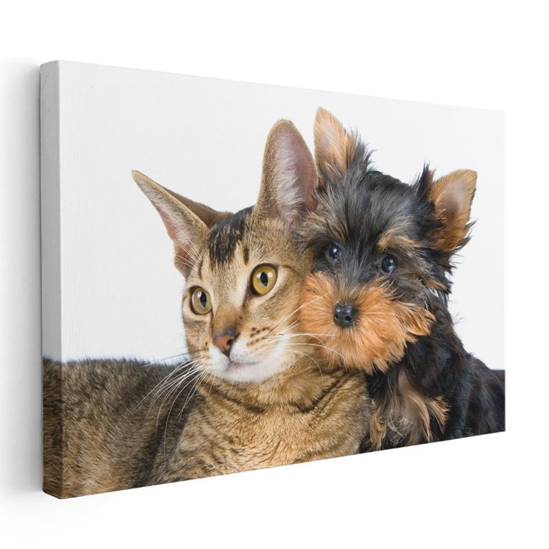 Sıcak Dostluk - Kedi ve Köpek Yavrusu Yan Yana Kanvas Tablo