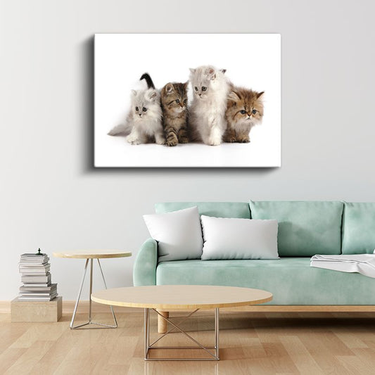 Yavru Kediler - Farklı Renklerde Sevimli Dörtlü Kanvas Tablo