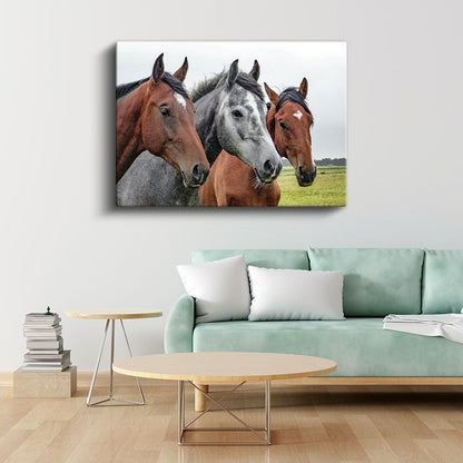 Asil Atlar - Üç Farklı Renkte Güçlü Dostlar Kanvas Tablo