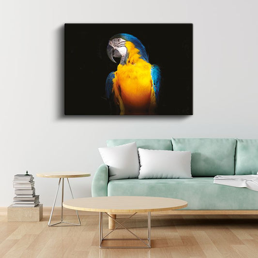 Ara Papağanı - Mavi ve Sarı Tüyleriyle Tropikal Güzellik Kanvas Tablo