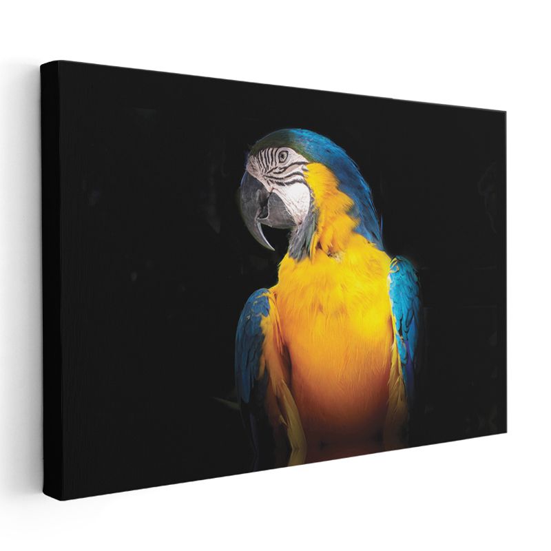 Ara Papağanı - Mavi ve Sarı Tüyleriyle Tropikal Güzellik Kanvas Tablo