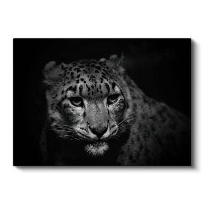 Kar Leoparı - Gizemli Bakışlarıyla Dağların Avcısı Kanvas Tablo