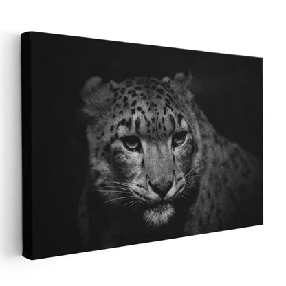 Kar Leoparı - Gizemli Bakışlarıyla Dağların Avcısı Kanvas Tablo