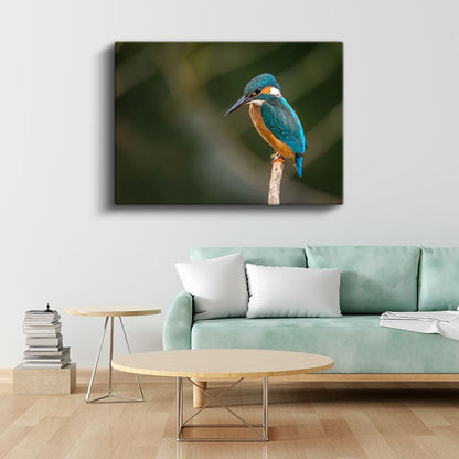 Yalıçapkını - Dal Üzerinde Bekleyen Renkli Avcı Kanvas Tablo