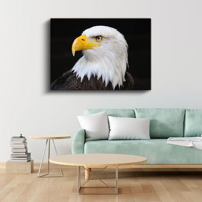 Kel Kartal - Keskin Bakışlı Özgürlük Simgesi Kanvas Tablo