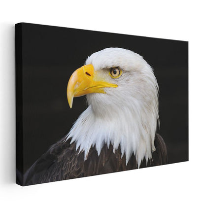 Kel Kartal - Keskin Bakışlı Özgürlük Simgesi Kanvas Tablo