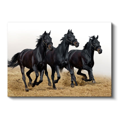 Siyah Atlar - Özgürce Koşan Üçlü Kanvas Tablo