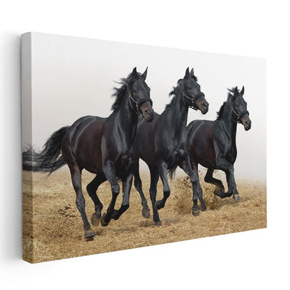 Siyah Atlar - Özgürce Koşan Üçlü Kanvas Tablo