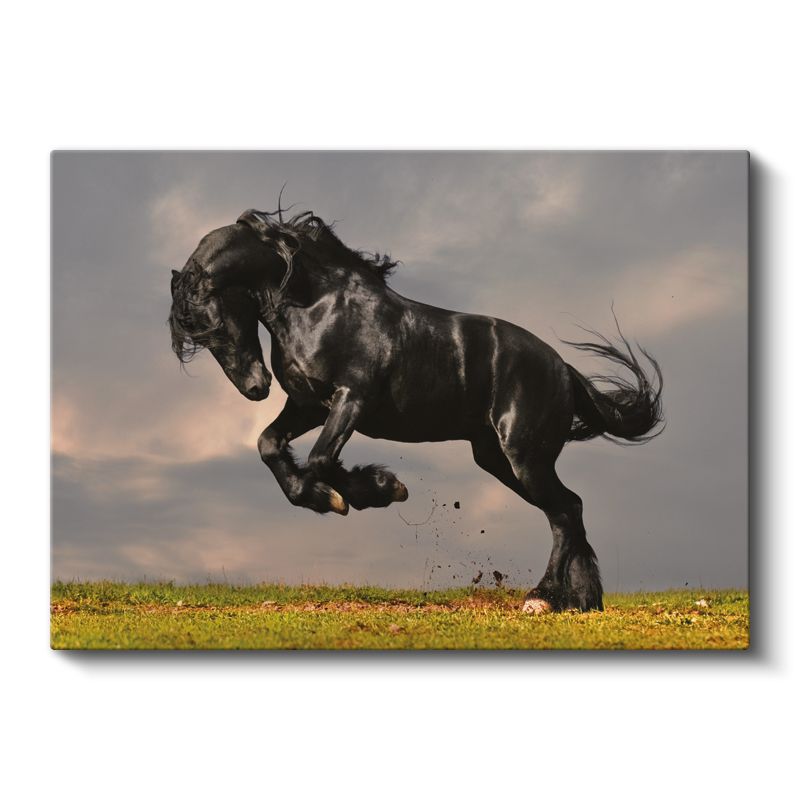 Şaha Kalkan At - Güçlü ve Heybetli Siyah Yele Kanvas Tablo