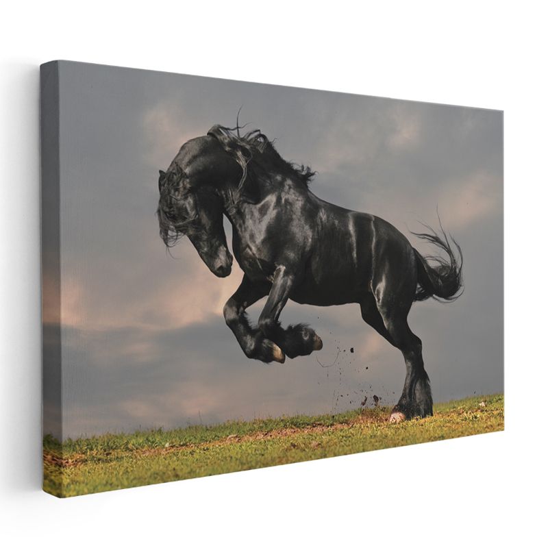 Şaha Kalkan At - Güçlü ve Heybetli Siyah Yele Kanvas Tablo